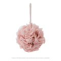 Bath Sponge